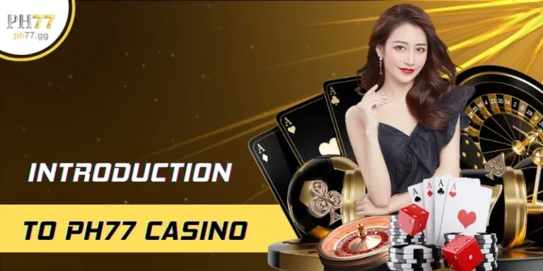 Tầm quan trọng của Suncity88 link mới